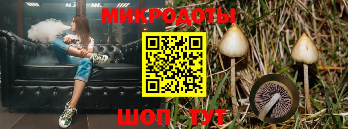 купить наркоту  Псилоцибиновые грибы Psilocybe  Псилоцибиновые грибы Cubensis  Вход с VPN  Реутов 